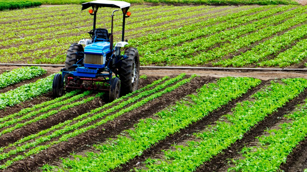 Bonus Agricoltura 2024: ISME Dedicati ai Giovani - 100mila euro 
