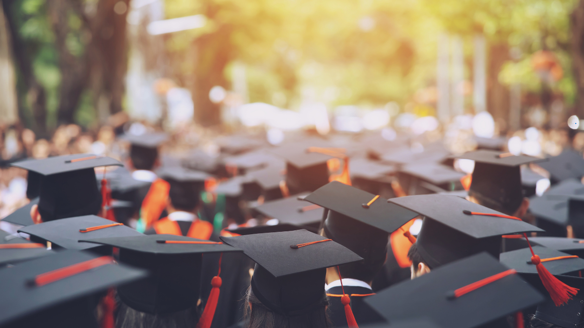 Bonus Studenti Universitari 2024: Fuori Sede, Giovani Under 31, No Tax Area – Guida per Richiederlo